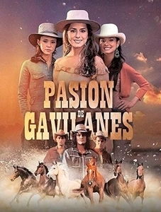 Pasion De Gavilanes 1 