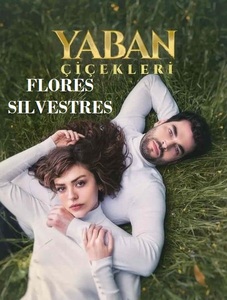 Flores Silvestres 